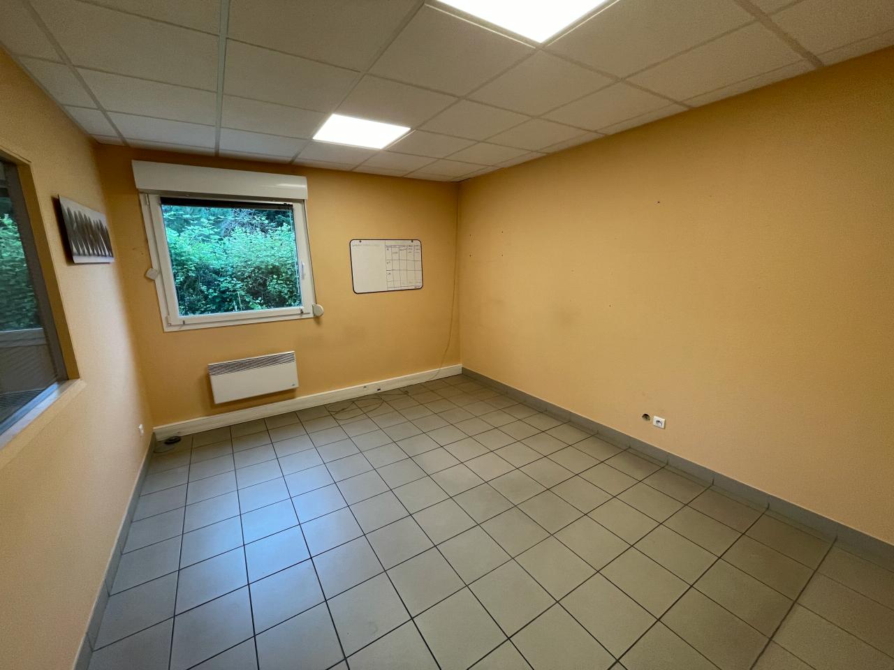 Local d'activité Ludres 645m² Location local d'activité Ludres Meurthe-et-Moselle OLACT2314140 13